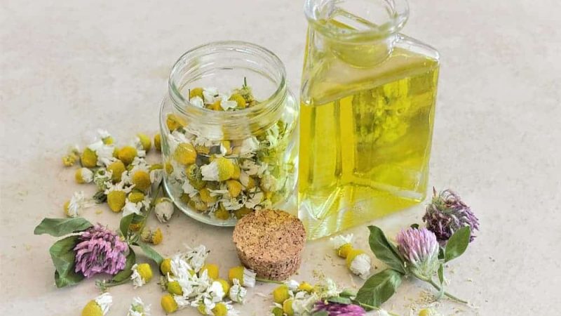 Berbagai Jenis Aromaterapi Dan Manfaatnya Untuk Kesehatan