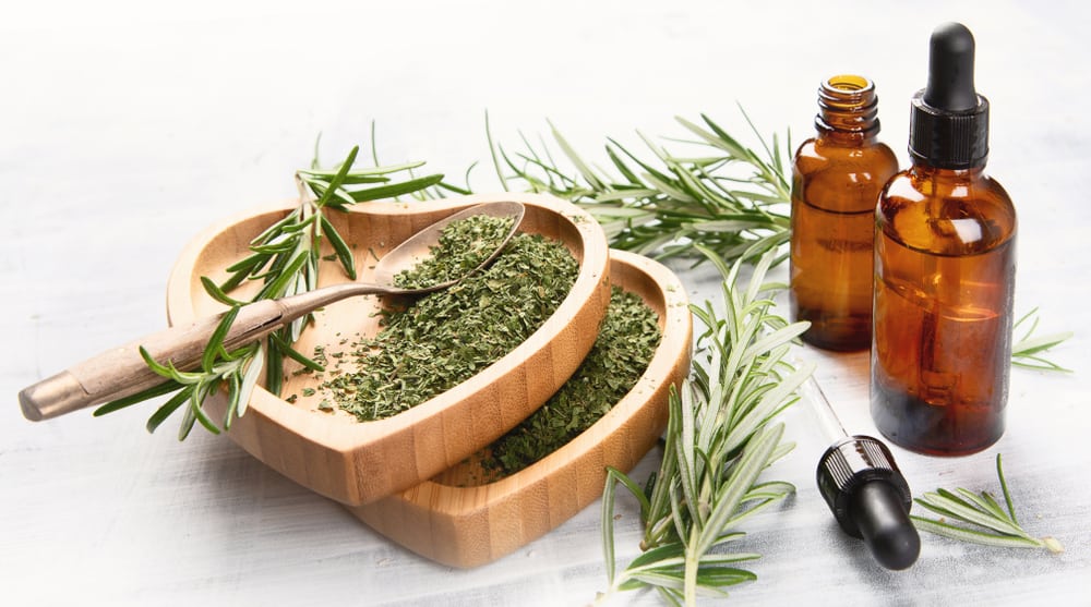 Berbagai Jenis Aromaterapi Dan Manfaatnya Untuk Kesehatan